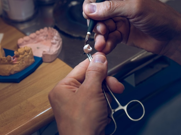 High angle of crop unrecognizable dental technician painting artificial ceramic tooth using brush and clamp while making denture in laboratory