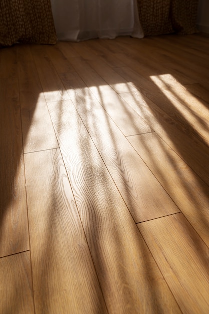 High angle sunshine rays in living room