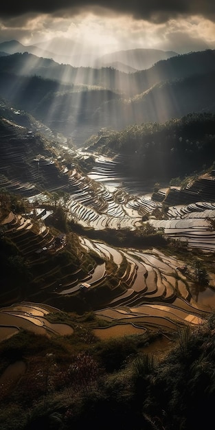 High angle view of asiatic rice terraces sun through the clouds landscape of a village