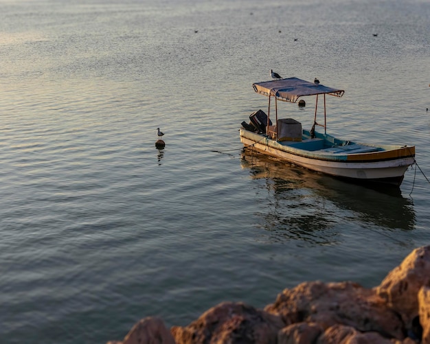 High angle view of birds on sea