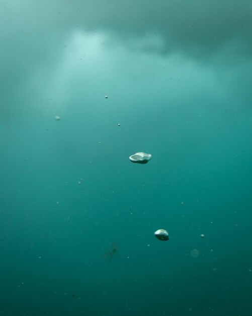 High angle view of bubbles on sea