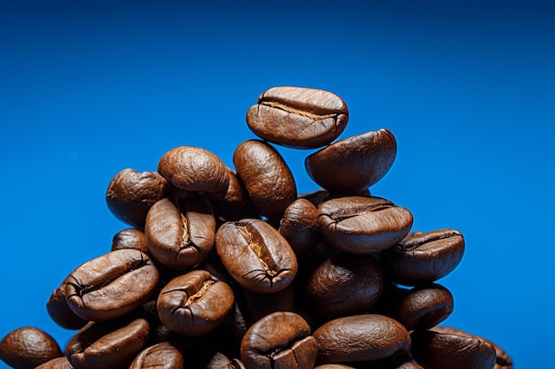 High angle view of coffee beans on white background