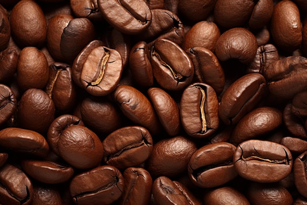 High angle view of coffee beans on white background