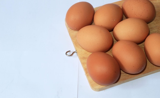 High angle view of eggs against white background