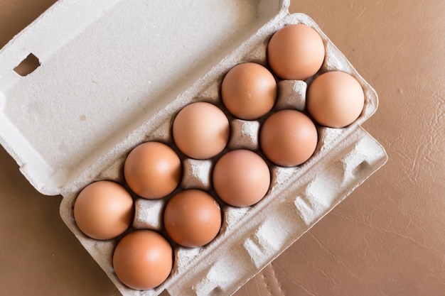 High angle view of eggs in container