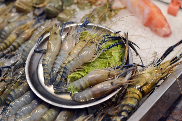 High angle view of fish in container