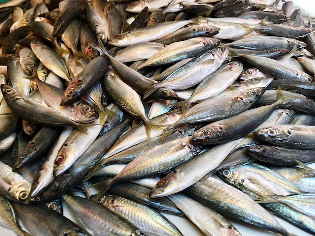 High angle view of fish for sale in market