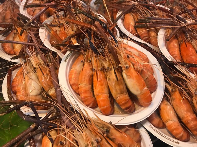 High angle view of fish for sale