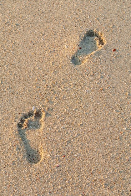 High angle view of footprints on sand at beach