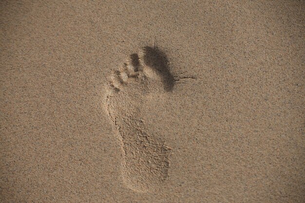 High angle view of footprints on sand