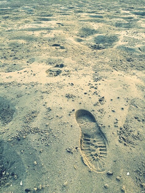 Photo high angle view of footprints on wet sand at beach