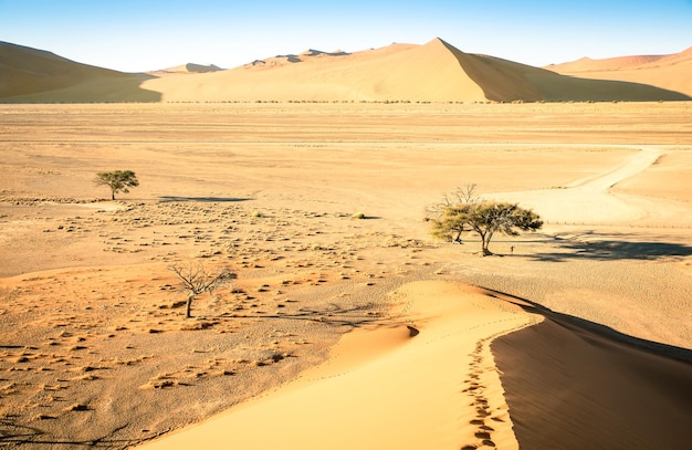 High angle view from the top of Dune 45 on the way to Deadvlei near Sossusvlei