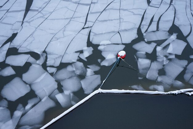 Photo high angle view of frozen plants