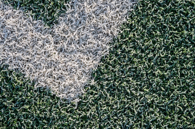 High angle view of grass on field