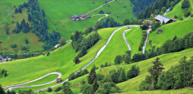 Photo high angle view of green landscape