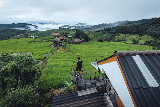 High angle view Green Rice field on terraced in Chiangmai