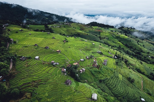 High angle view Green Rice field on terraced in Chiangmai