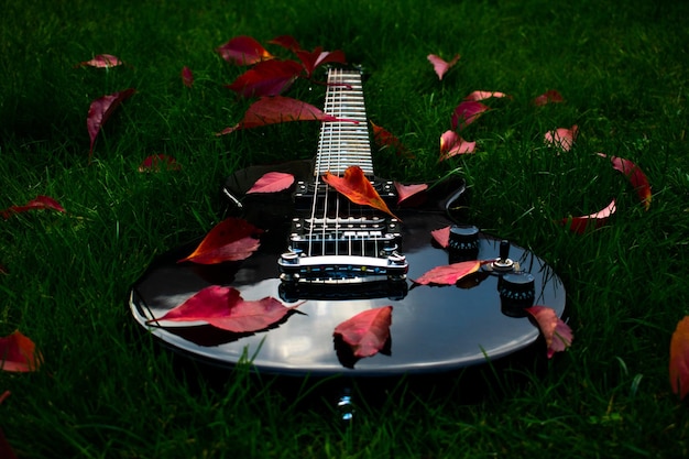 High angle view of guitar on field