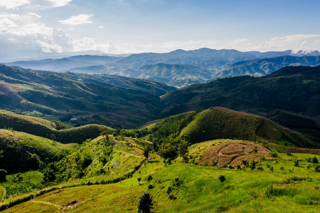 High angle view mountain covers and road way 