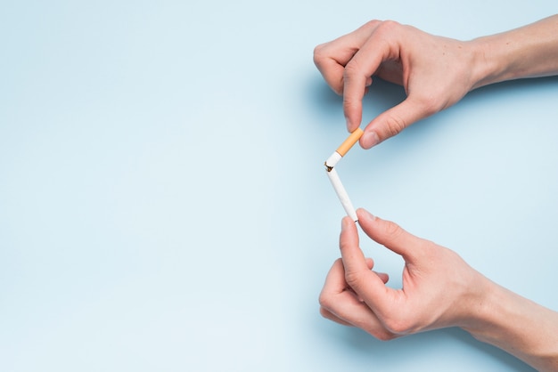 High angle view of person's hand holding broken cigarette against blue backdrop