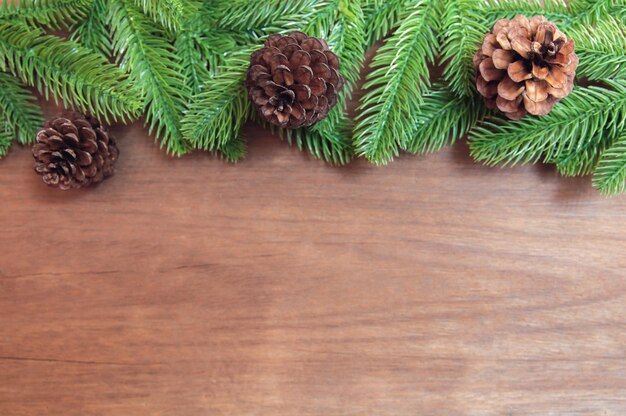 High angle view of pine cones on table