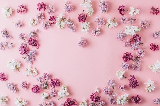 High angle view of pink flowering plant