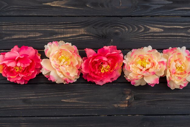 Photo high angle view of pink roses on table