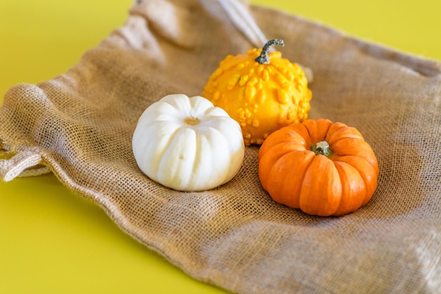 Photo high angle view of pumpkin on table