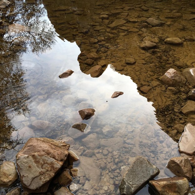 Photo high angle view of rocks in shallow river at forest