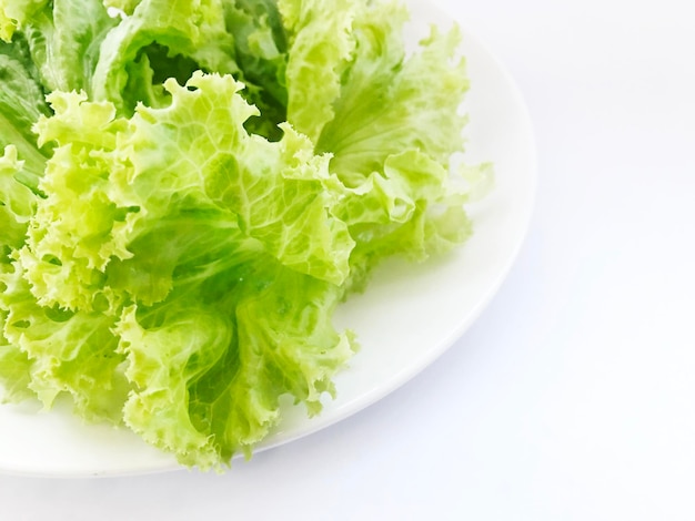 High angle view of salad in plate