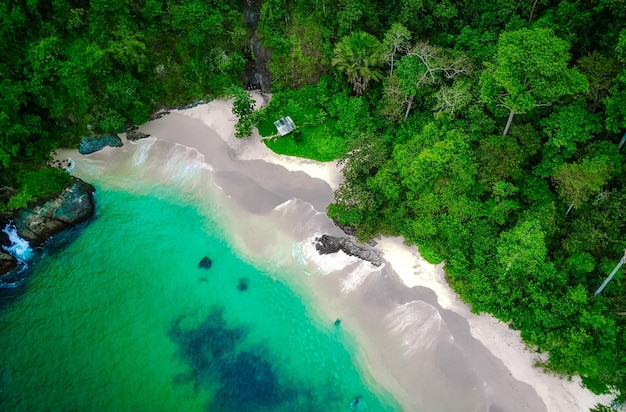 High angle view of sea and trees