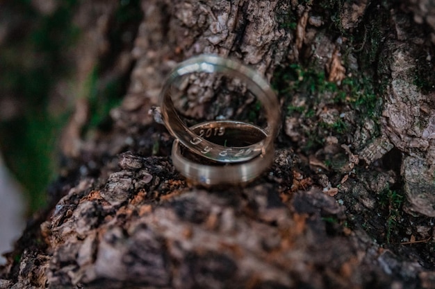 Photo high angle view of wedding rings on tree trunk