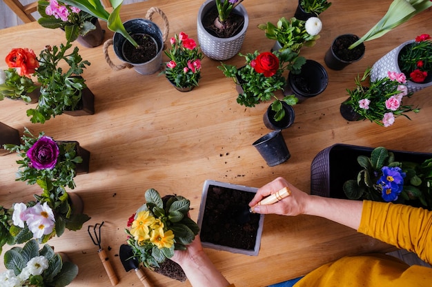 Photo high angle view of woman holding bouquet