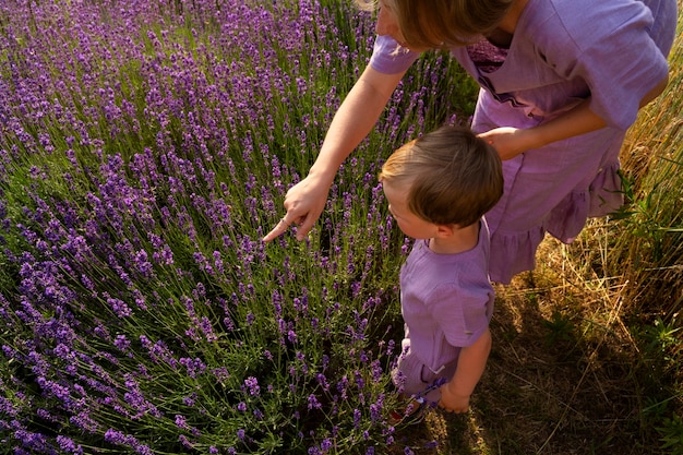 High angle woman and kid in lavender field