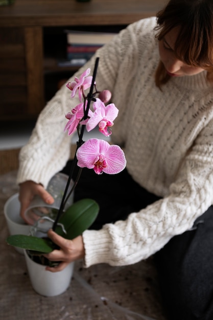 High angle woman transplanting flower