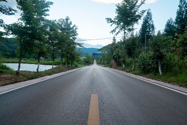 High asphalt road in the forest