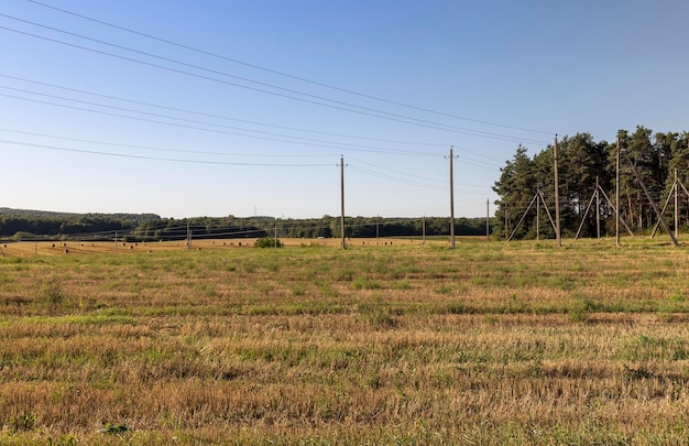 High concrete poles with electric wires