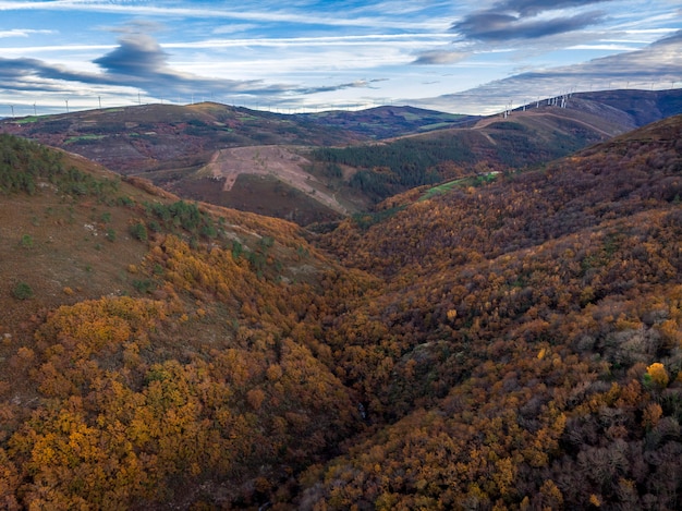 High mountain landscape with tree forests and fall colors