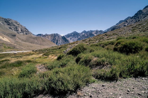 high mountain landscape with a wetland and mountains in the background in the andes mountain range