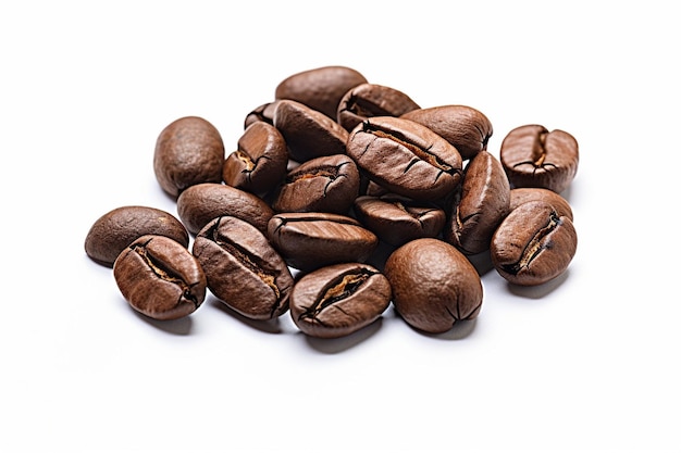 High quality freshly roasted arabica coffee beans