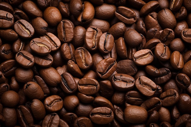 High quality freshly roasted arabica coffee beans