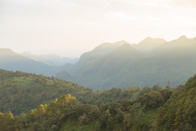 High rainforest mountain at sunrise scenic view background