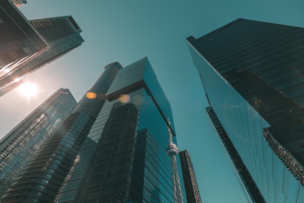 High rising buildings at Toronto, Canada