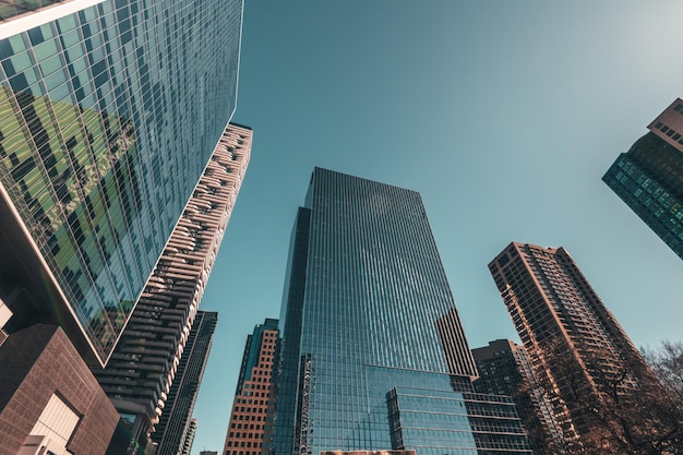 High rising buildings at Toronto, Canada