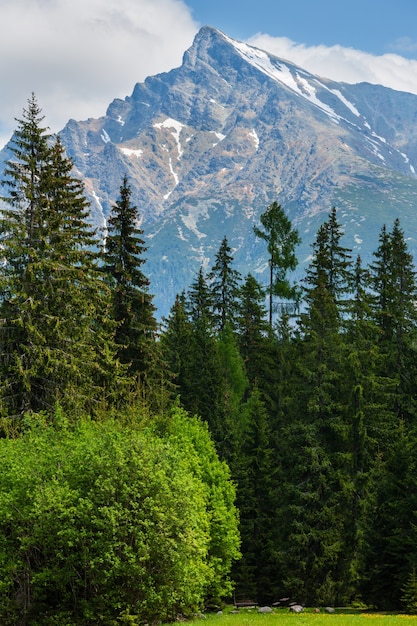 High Tatras spring view with snow on Krivan alpine mountainside (Slovakia)