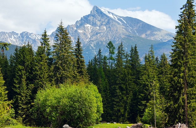 High Tatras spring view with snow on mountainside (Slovakia)