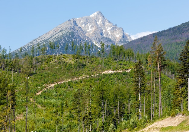 High Tatras spring view with snow on mountainside (Slovakia)