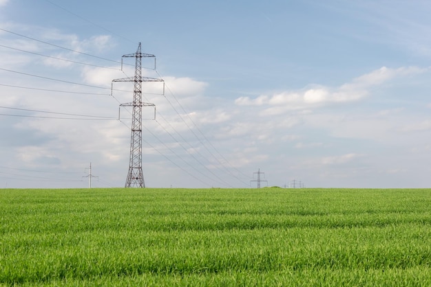 High voltage poles in a field of green grass against a background of a cloudy blue sky