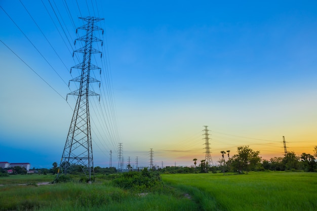 High-voltage post tower in Jasmine rice field at twilight time background.