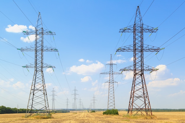 High-voltage power lines pass through yellow fields